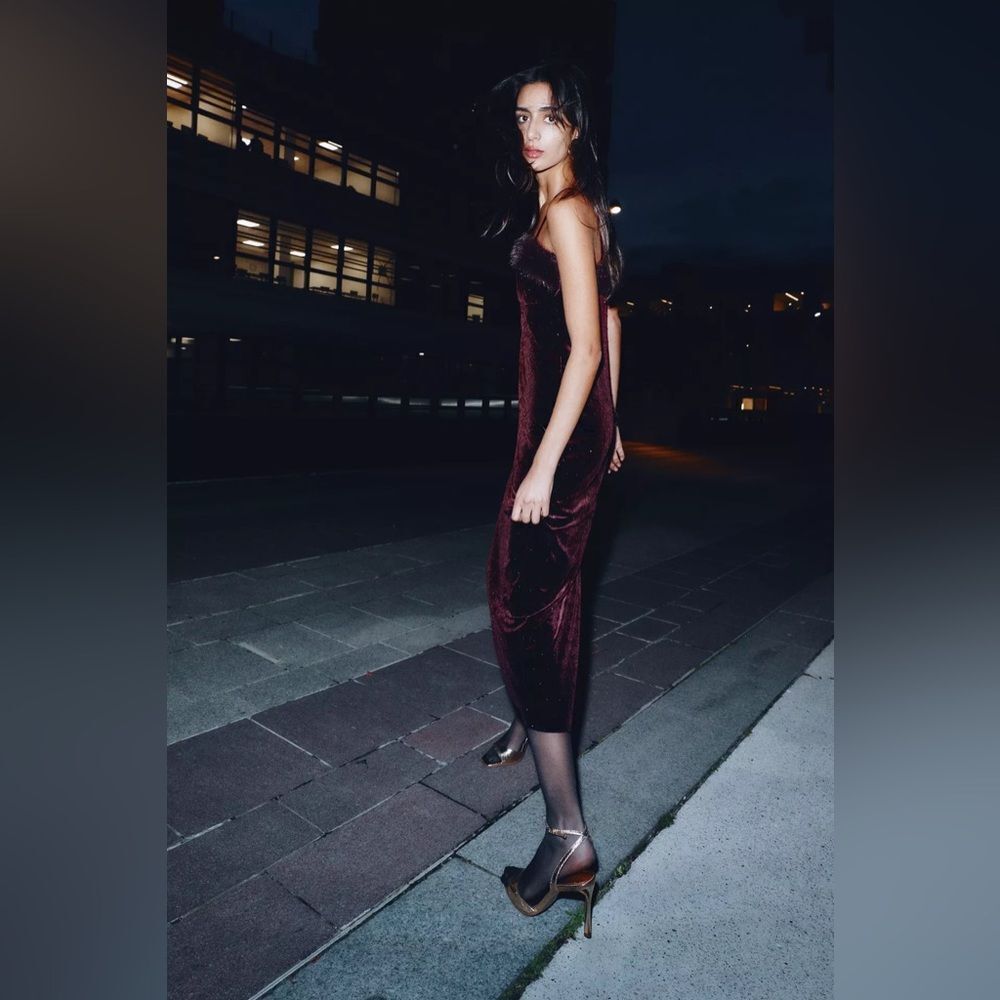 ZARA VELVET BEADED FAUX FUR MIDI DRESS - Picture 9 of 13